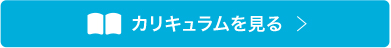 カリキュラムを見る