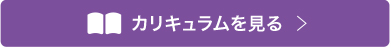 カリキュラムを見る